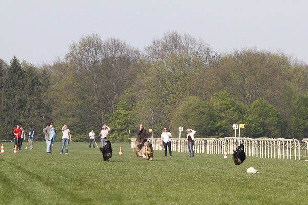 VGH_Renntag   095.jpg